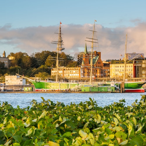 Tall ships docked along a waterfront lined with historic buildings, with green foliage in the foreground and a clear sky above.
