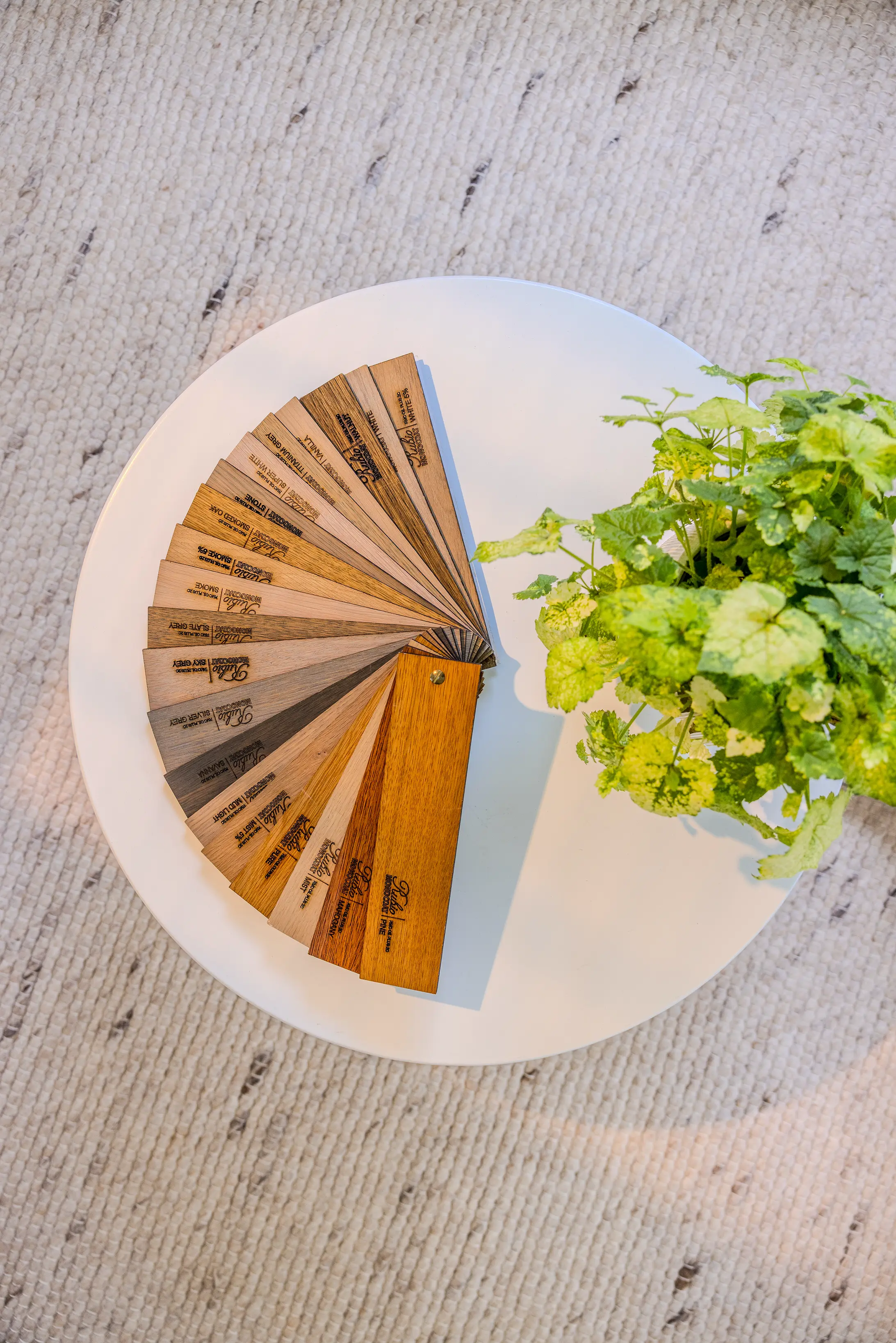 Bovenaanzicht van het eiken blad met een plantje bij Jasmijn in Rotterdam