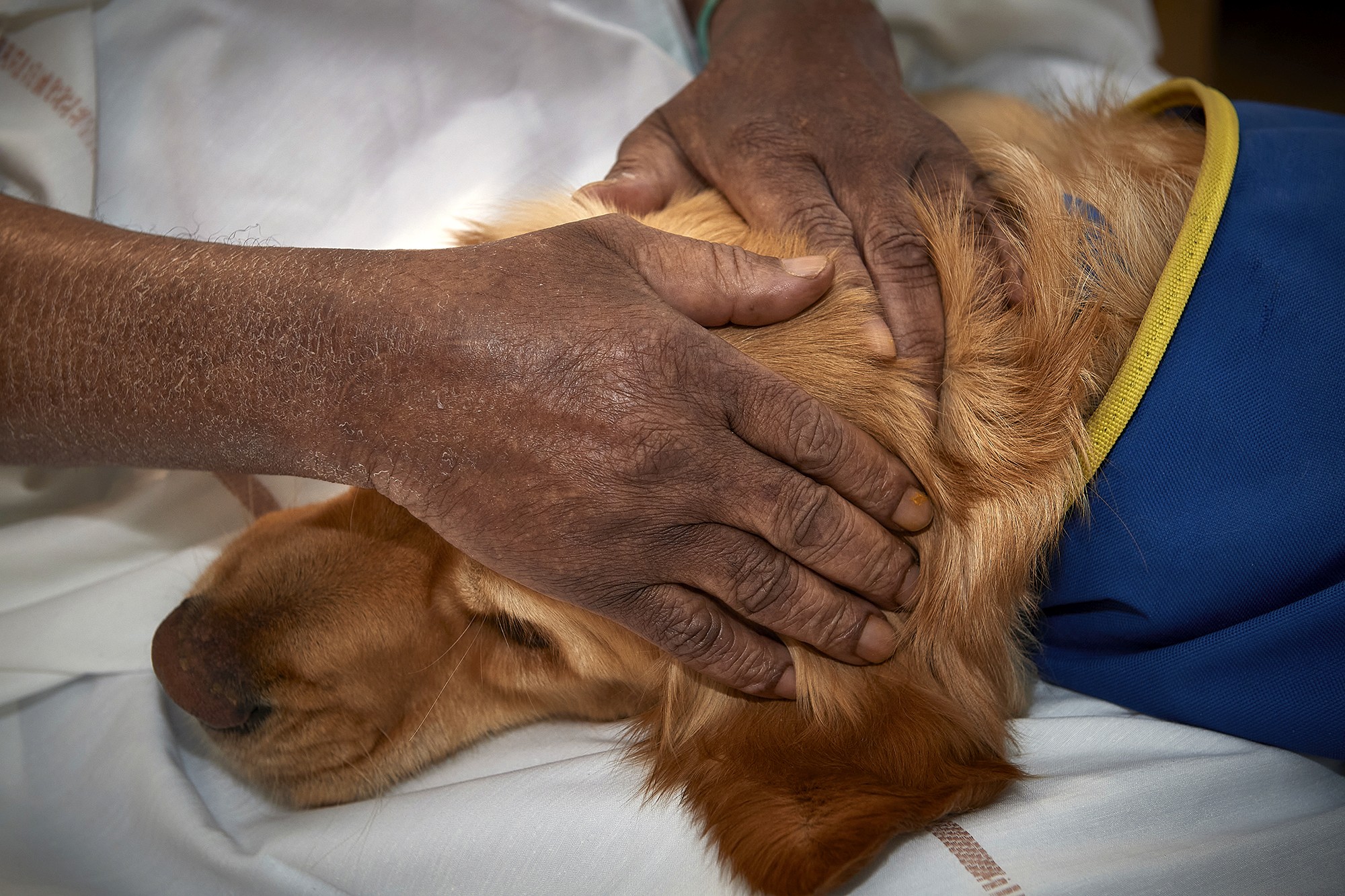 Certains patients peuvent avoir des gestes brusques. Saîko reste toujours très calme.
