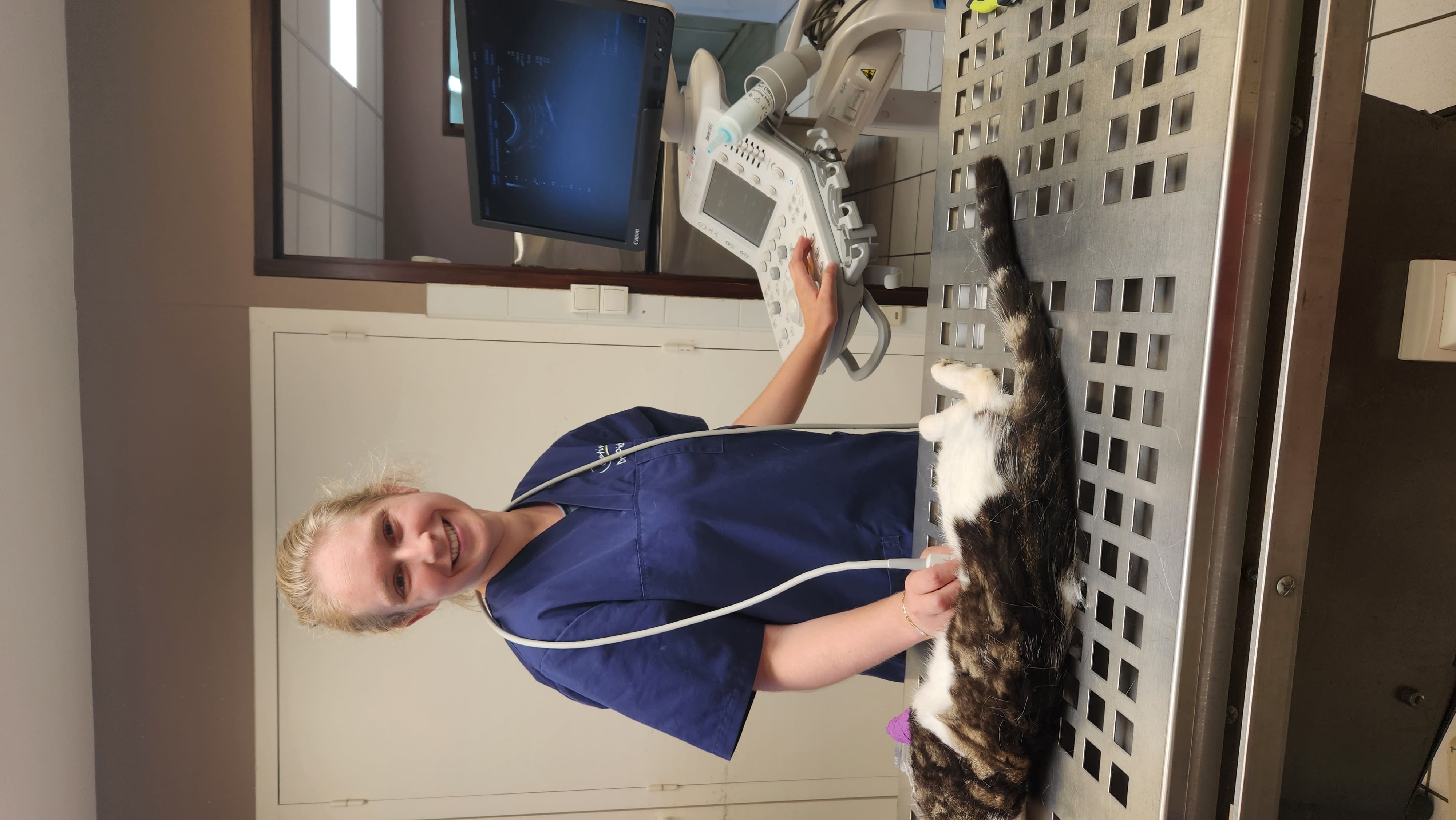 Dr. Annaëlle Pichon