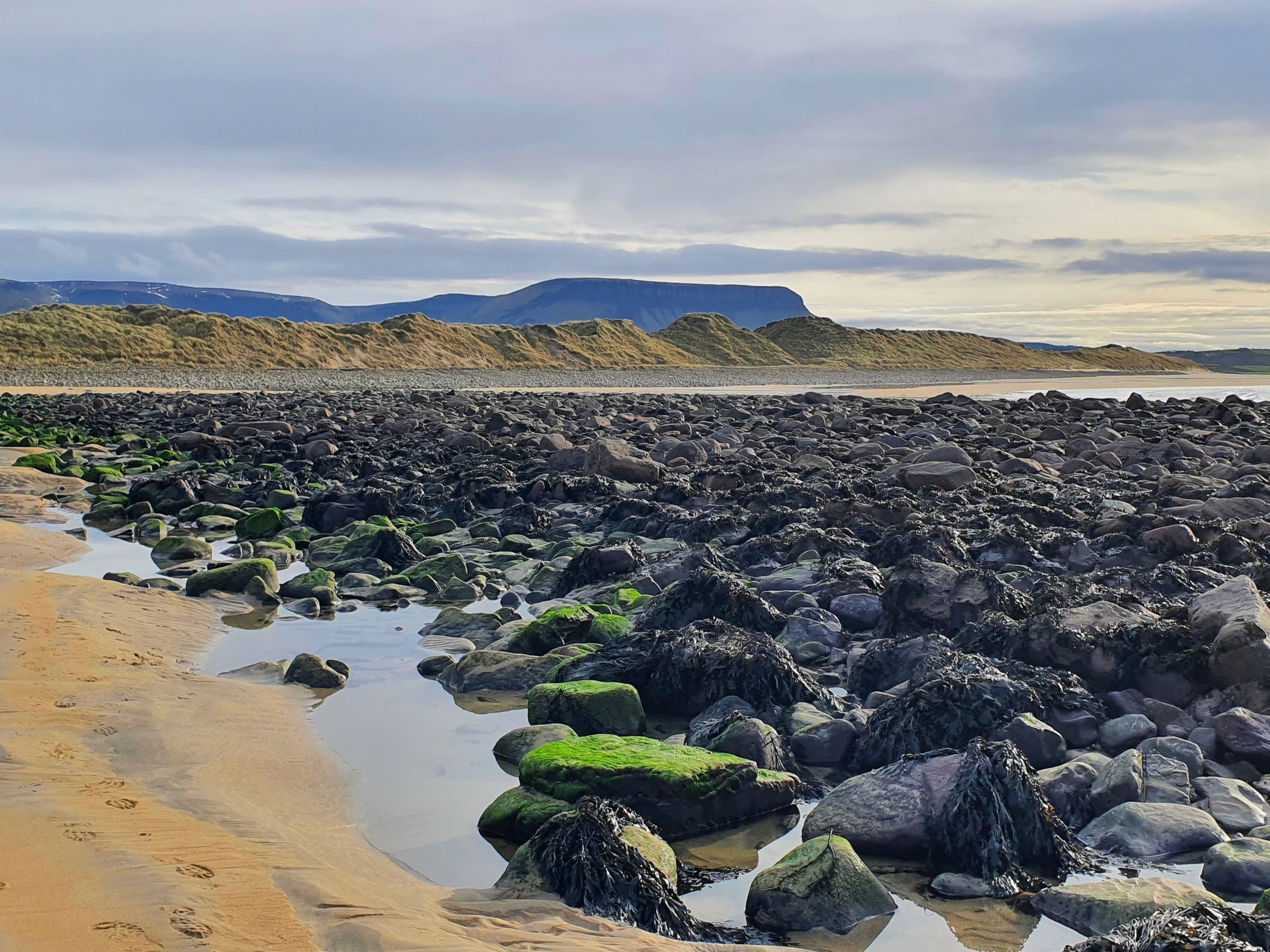 A coastal view featuring rocky shorelines, tide pools, and distant hills under a cloudy sky.