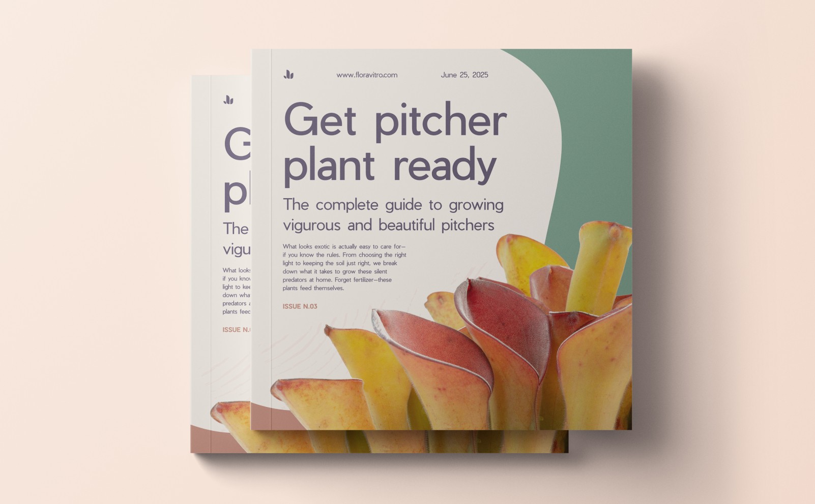 Branding book for pitcher plant nursery