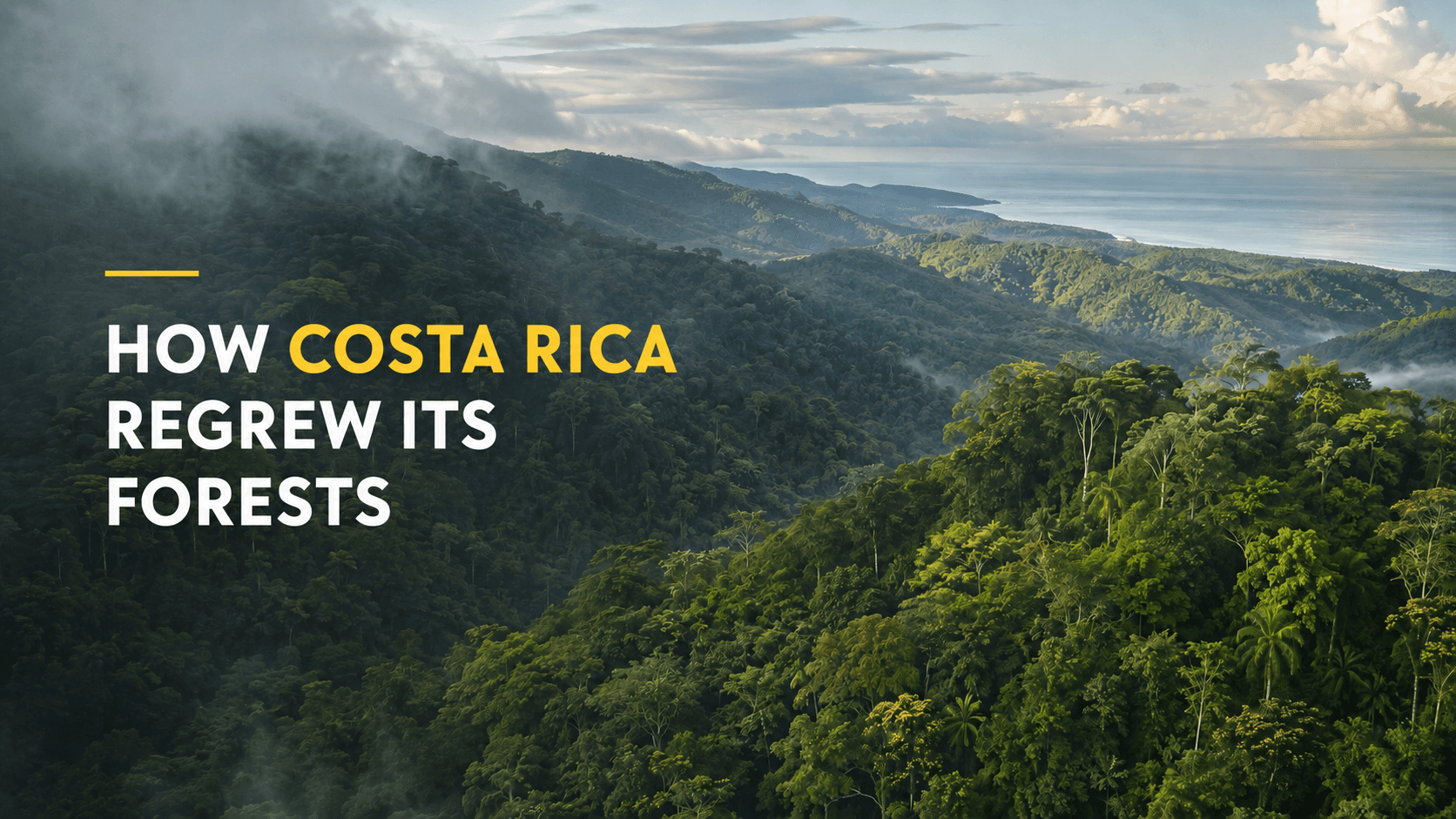 Aerial view of dense tropical rainforest covering misty mountains along Costa Rica’s southern Pacific coast, illustrating the country’s forest recovery.