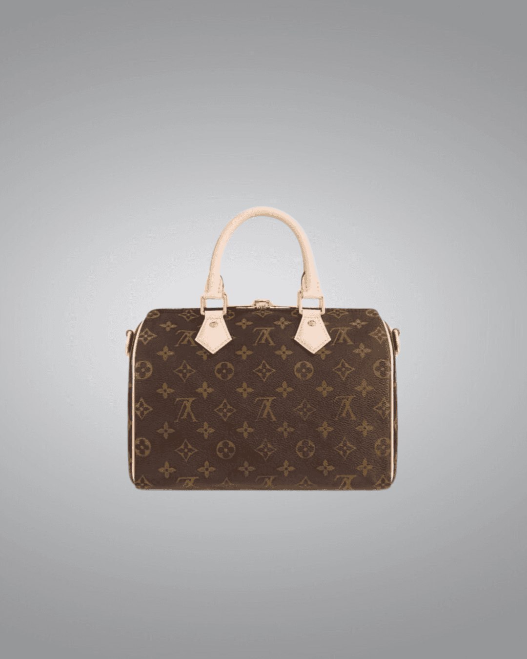 LV speedy 25 Handbag