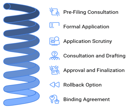 APA Process and Framework