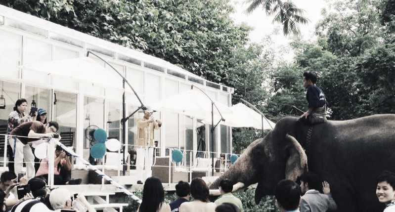 photo of a elephant and crowd of people