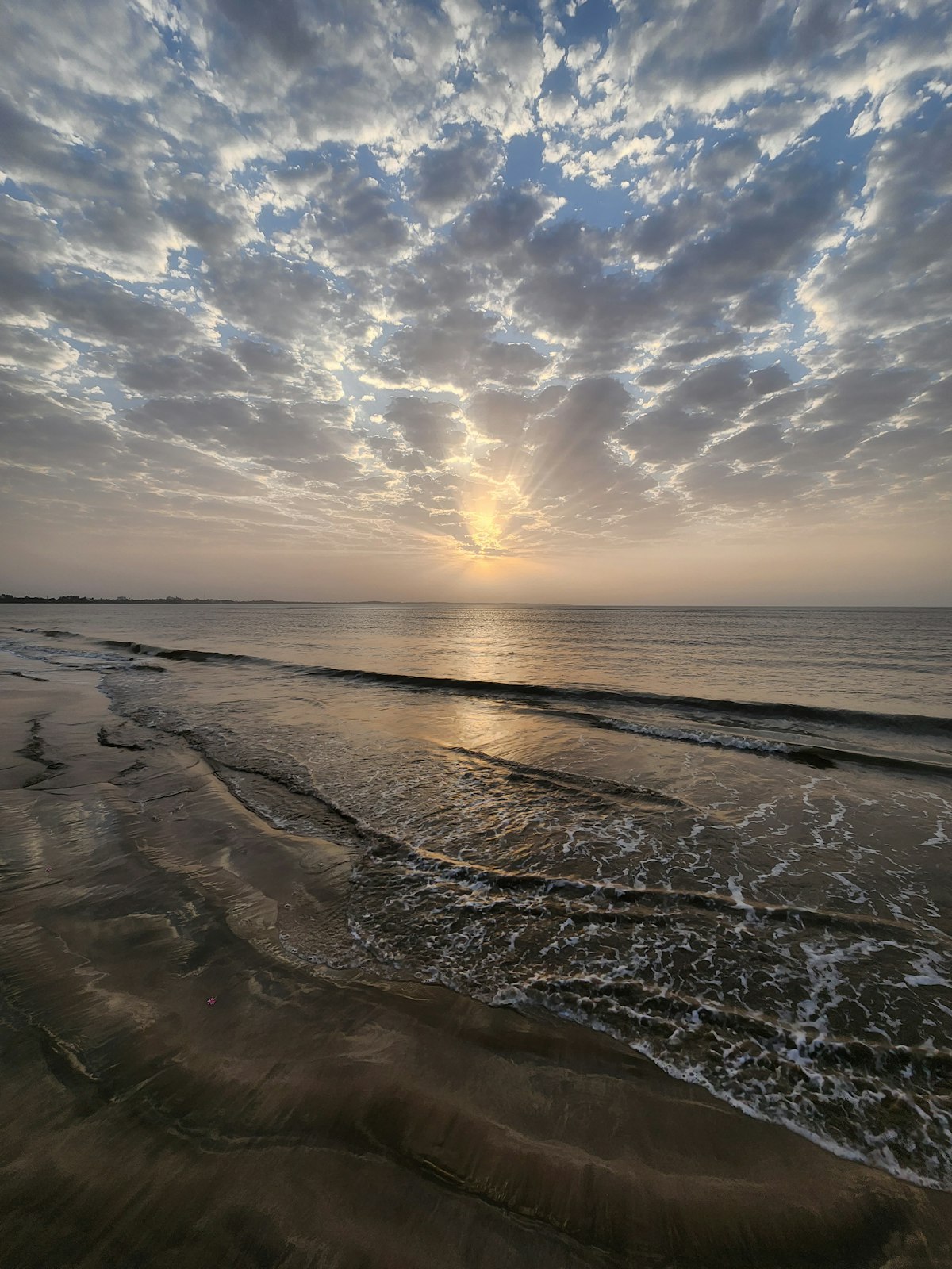red train travelling near body of water