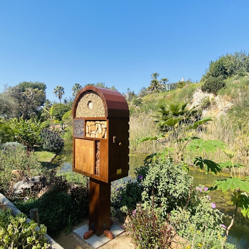 在郁郁葱葱的植物、棕榈树和池塘环绕的花园中，在晴朗的蓝天下，木制昆虫旅馆。