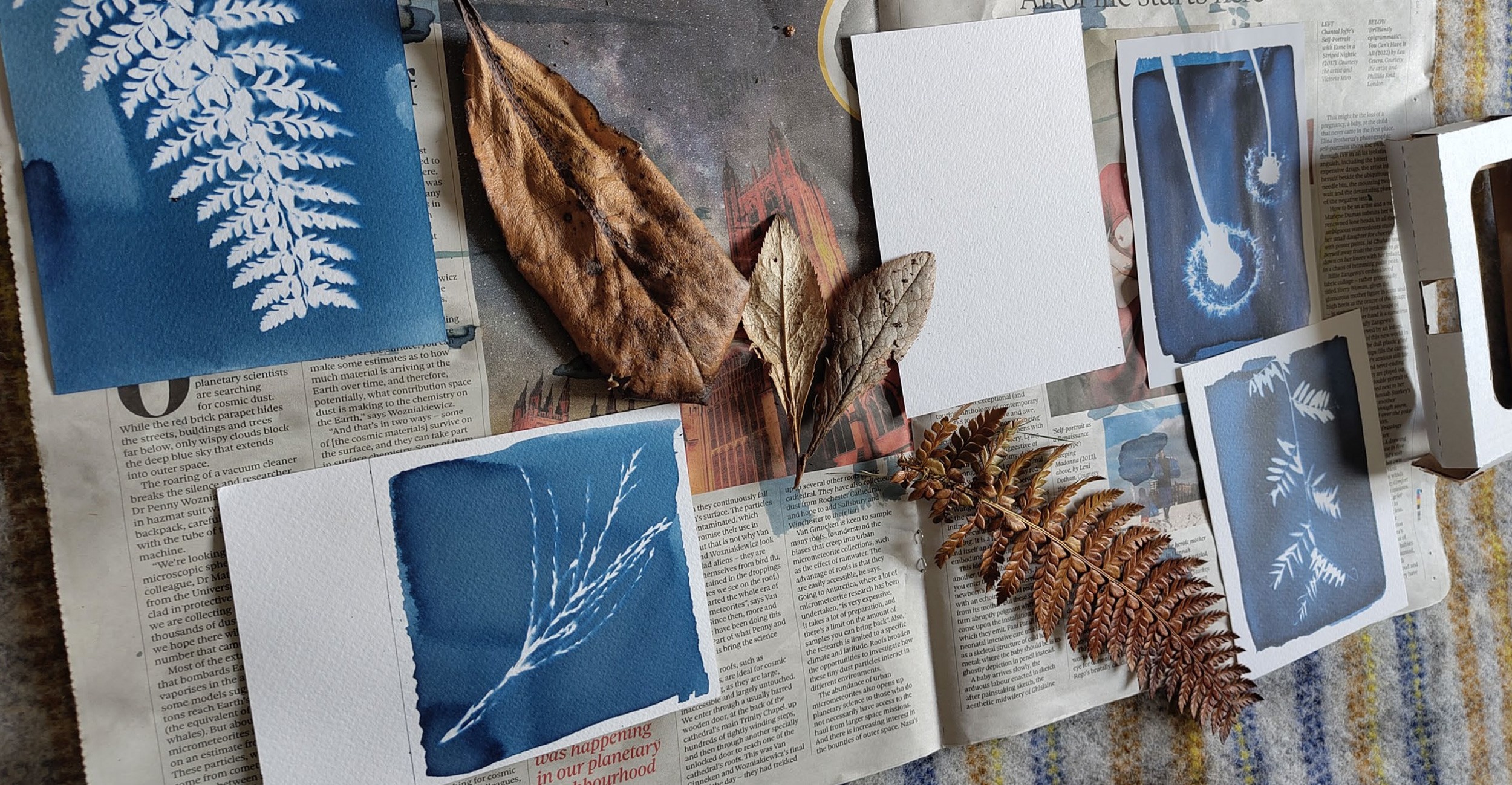 Here comes the alt text