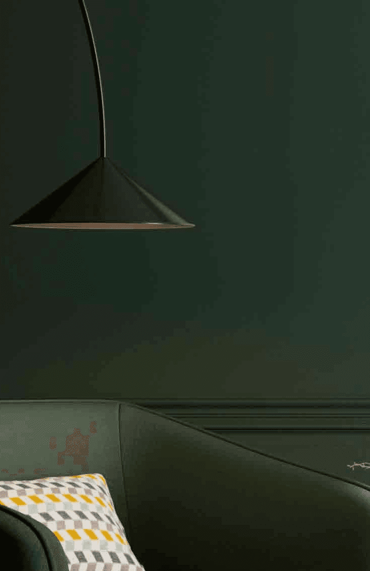 green plant in pot beside window blinds