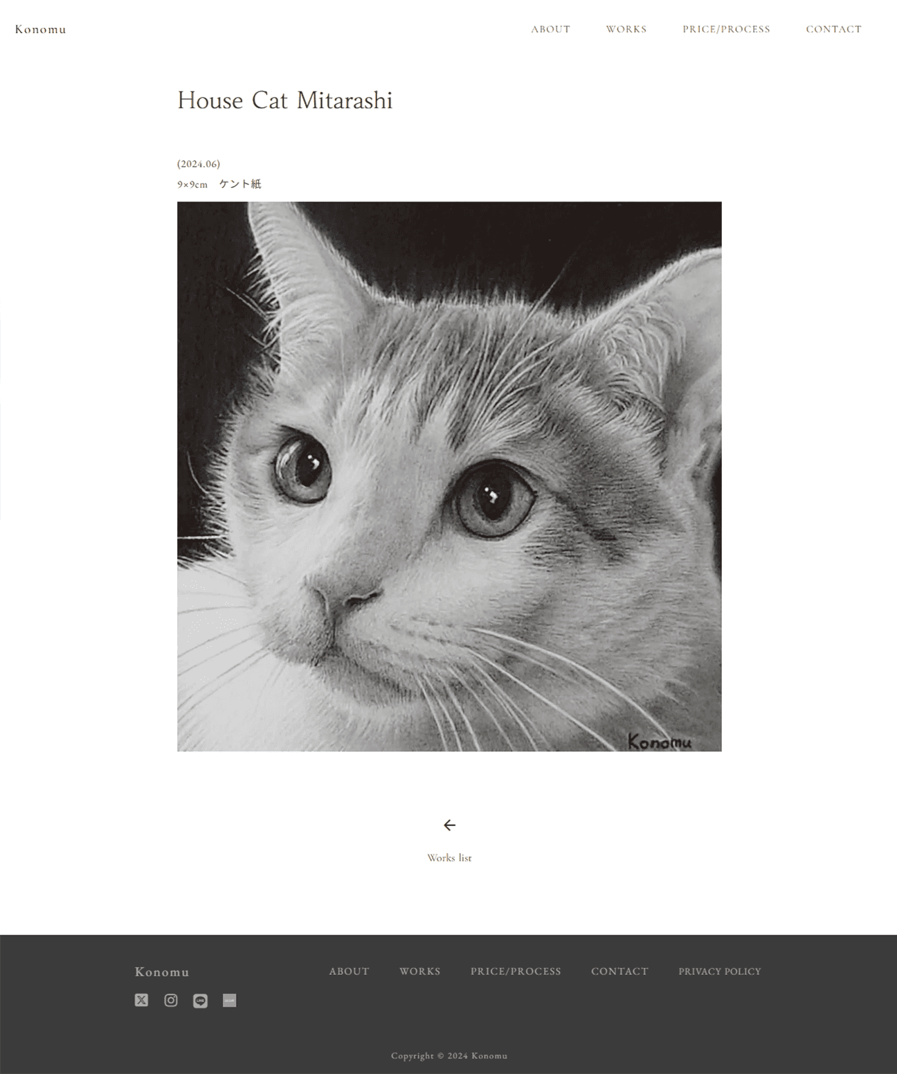 鉛筆画家Konomuさんのポートフォリオサイトのスクリーンショット。ファーストビューには鉛筆で描かれた猫の絵。繊細なタッチで写真と見間違うほどの鉛筆画。猫のイラストのアップ。
