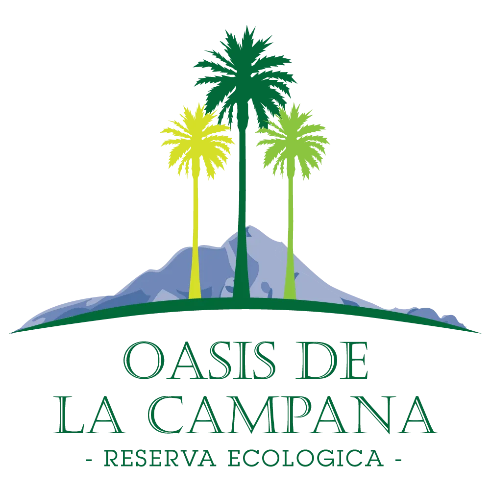 Pagar crédito hipotecario Oasis De La Campana