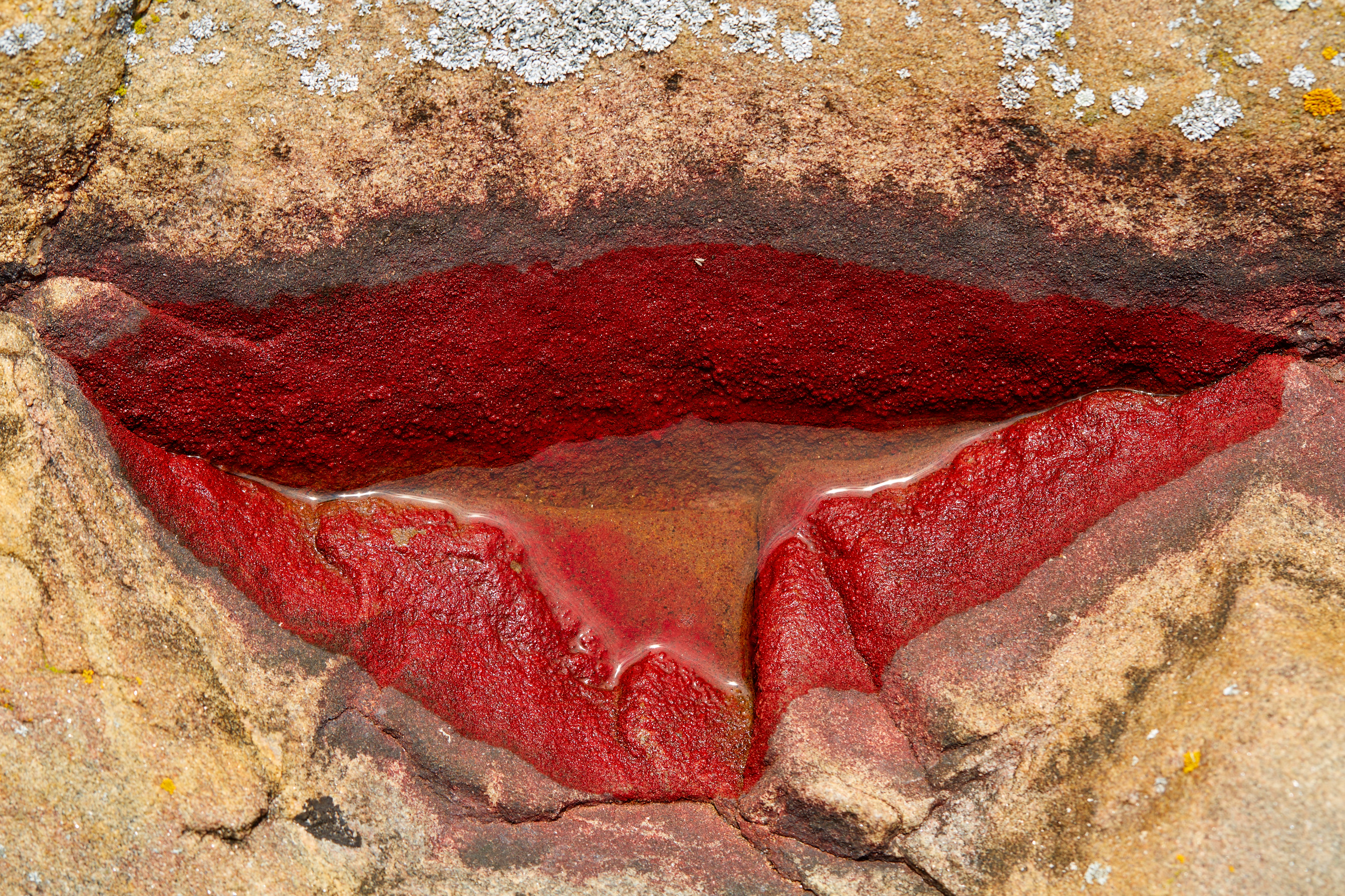 brown rock with lips paint