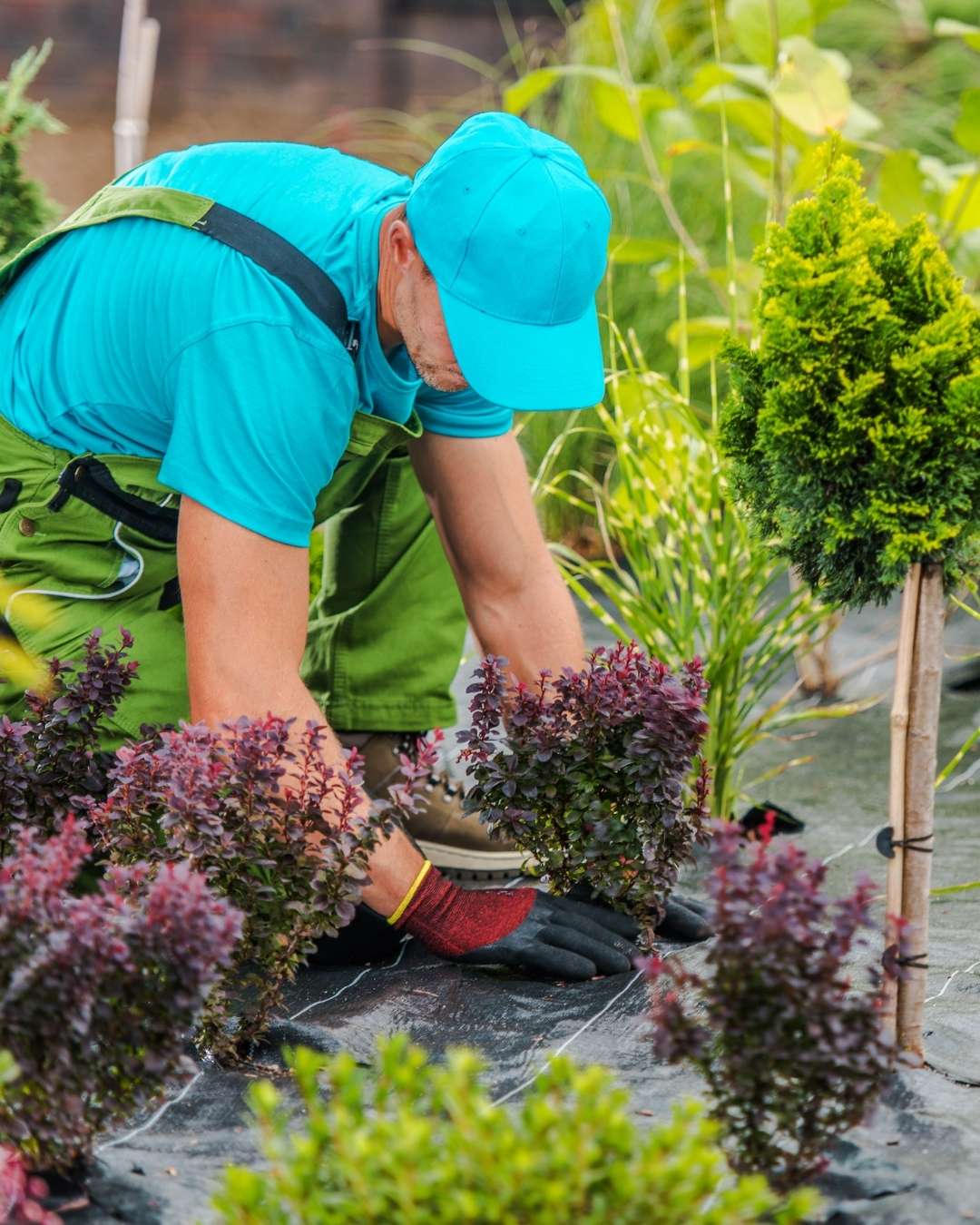 Residential Gardening Services