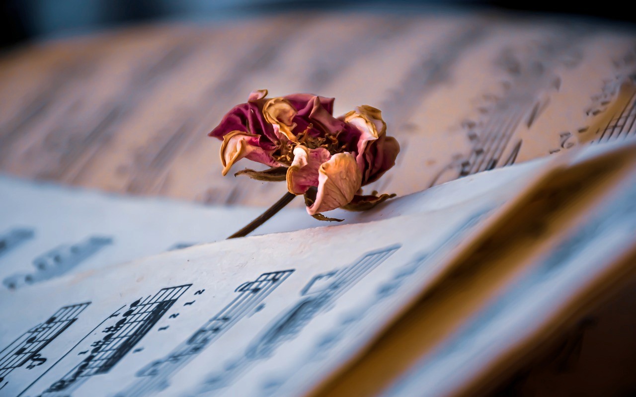 Dancing Strings
