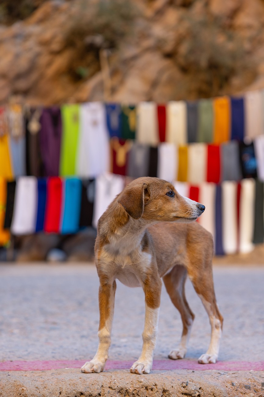 Modern building with geometric balconies and windows