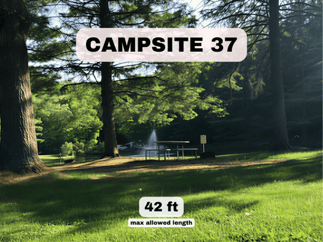 Campsite 37 at Pine Hollow Campground, a 42ft pondfront RV site with a picnic table and scenic fountain views