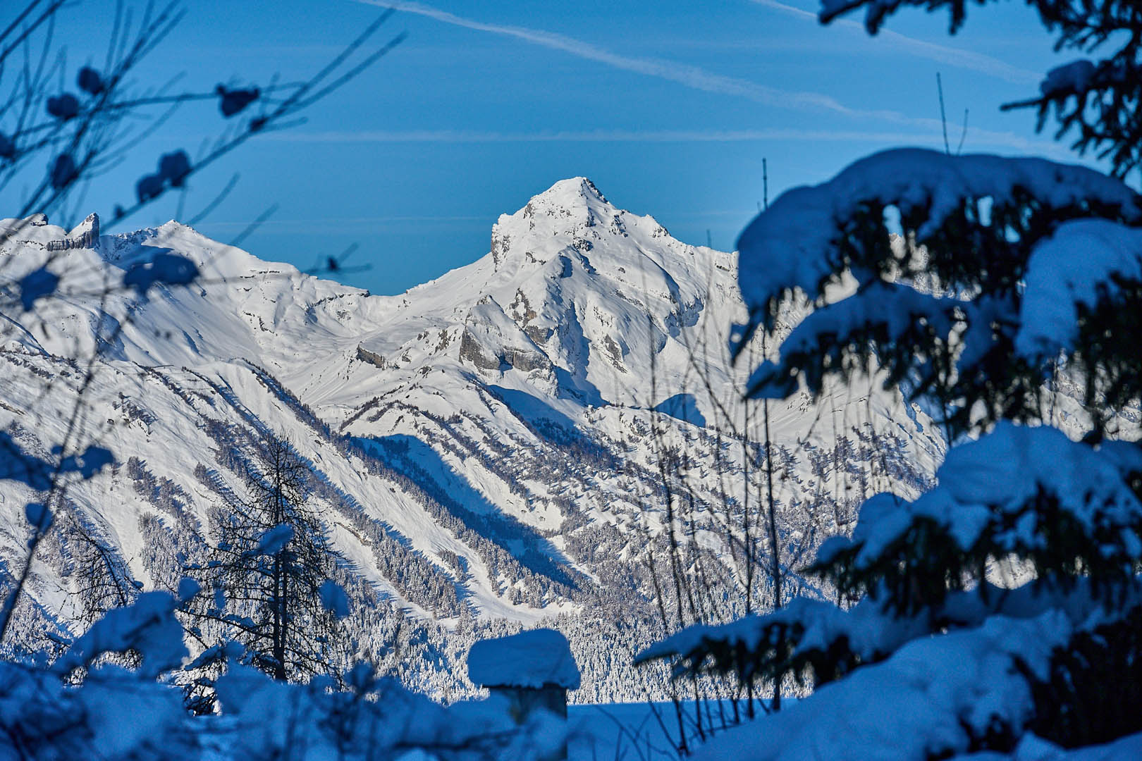 nfinity pool blending into the ocean view, minimalist sun loungers in soft neutral fabric, curved architecture