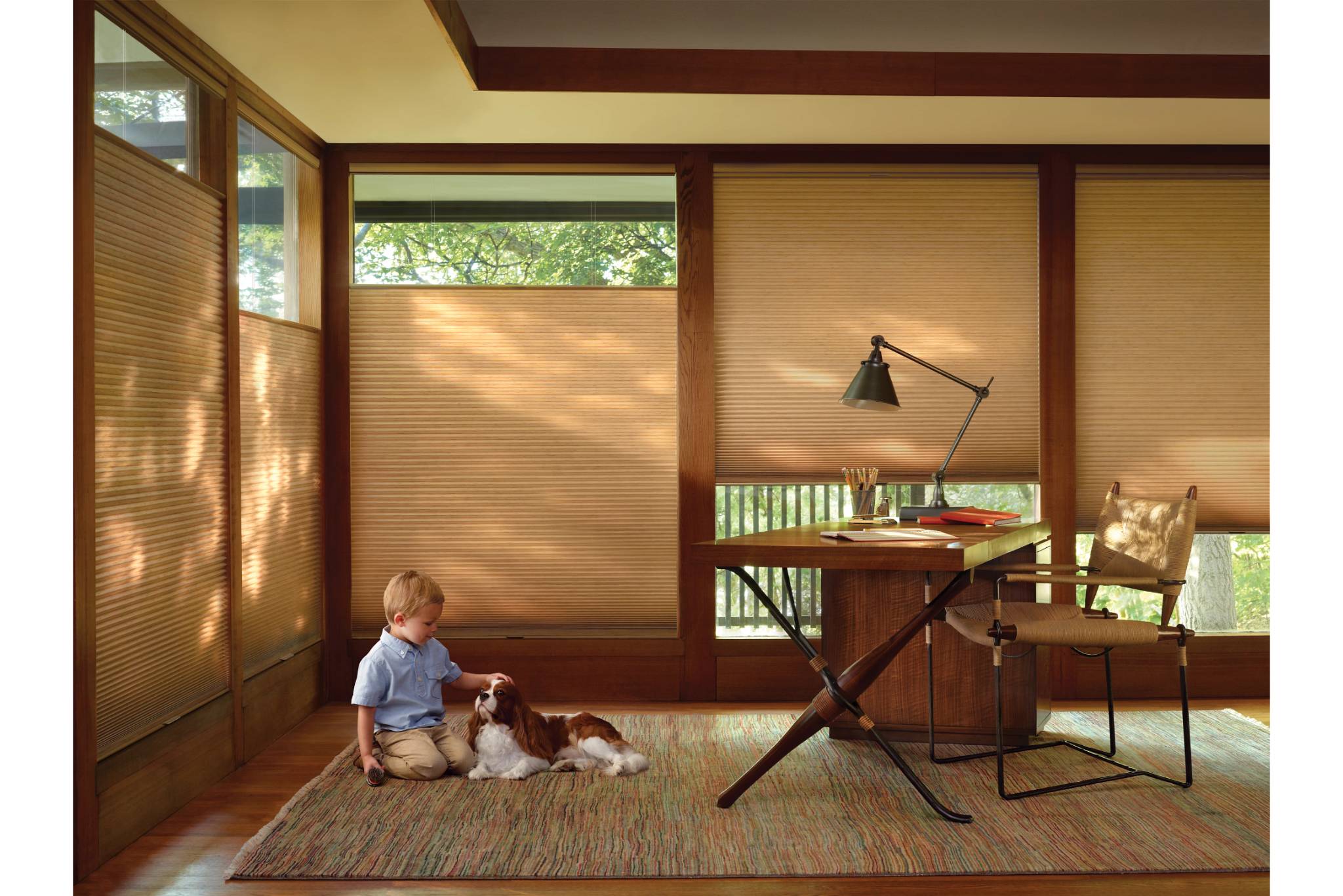 Duette Architella Honeycomb Shades with TDBU