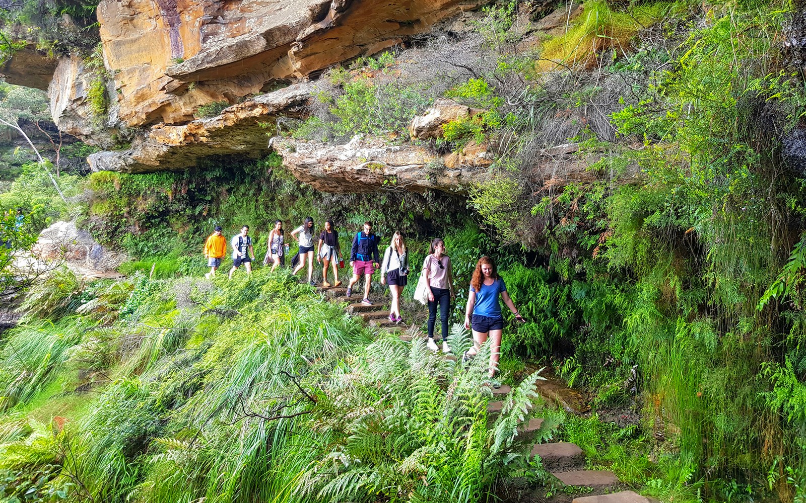 Visitors walking along a forest trail in the Blue Mountains, Australia, surrounded by lush greenery.