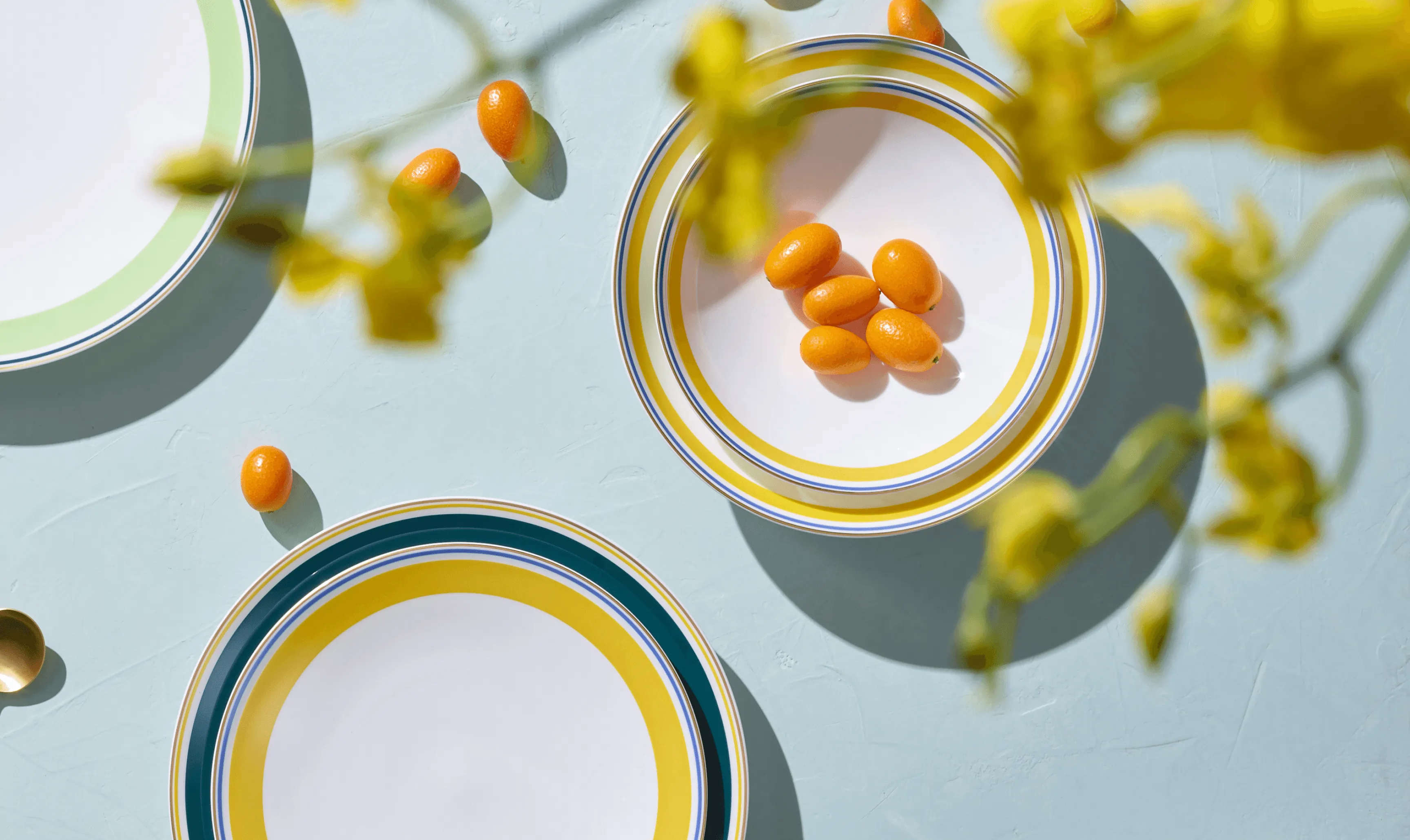 Dibbern Teller mit Physalis