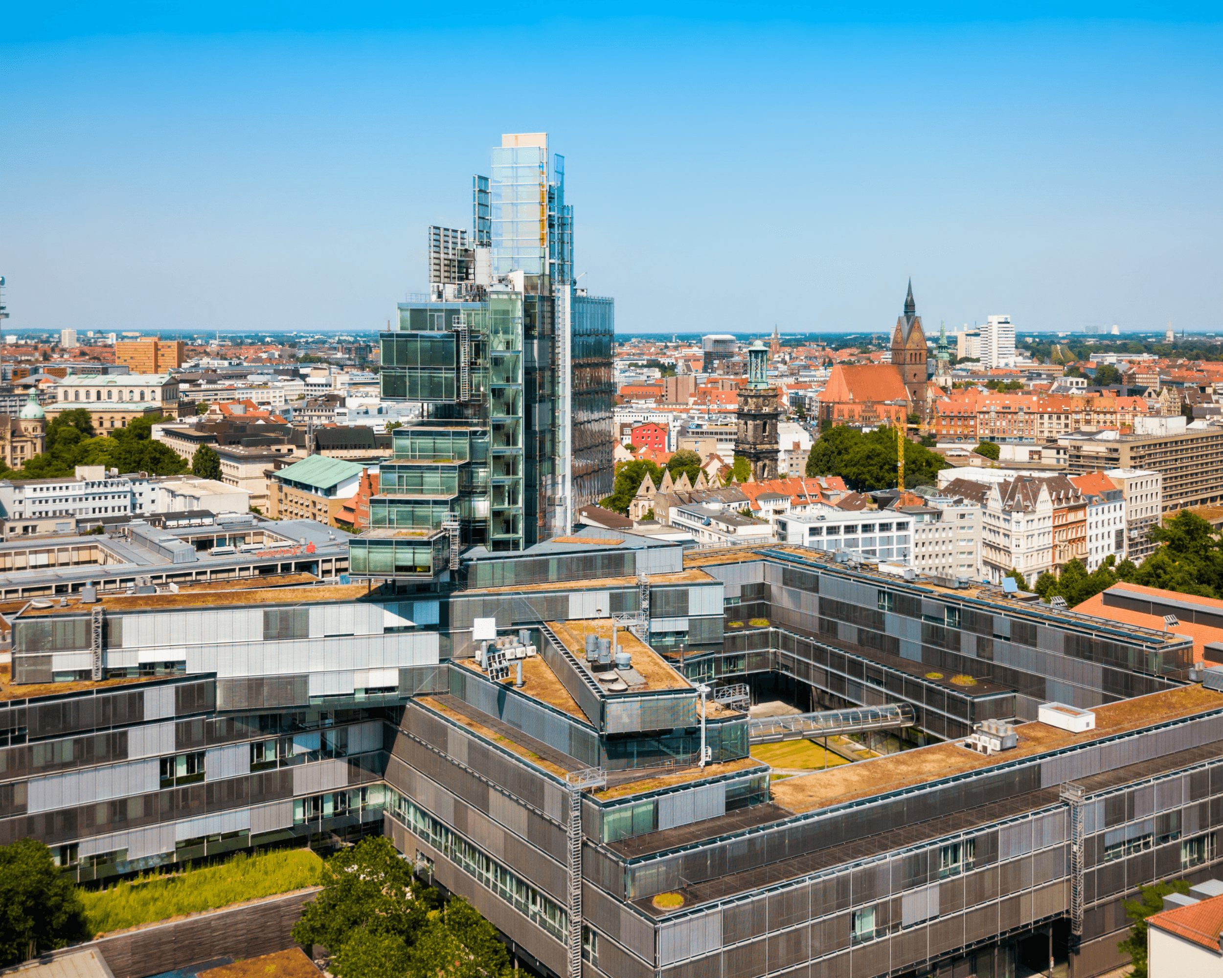 kids lying on a glass land and smiling