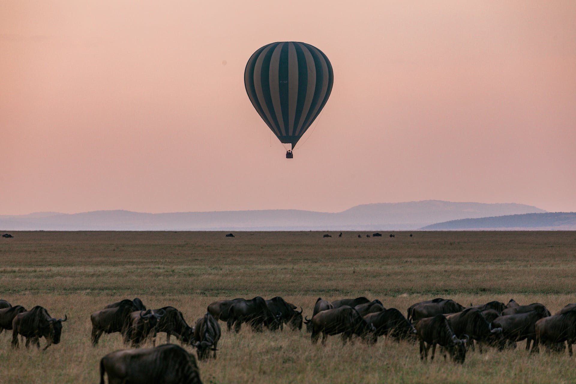 Hot-air balloon in te middle of Tanzanian safari