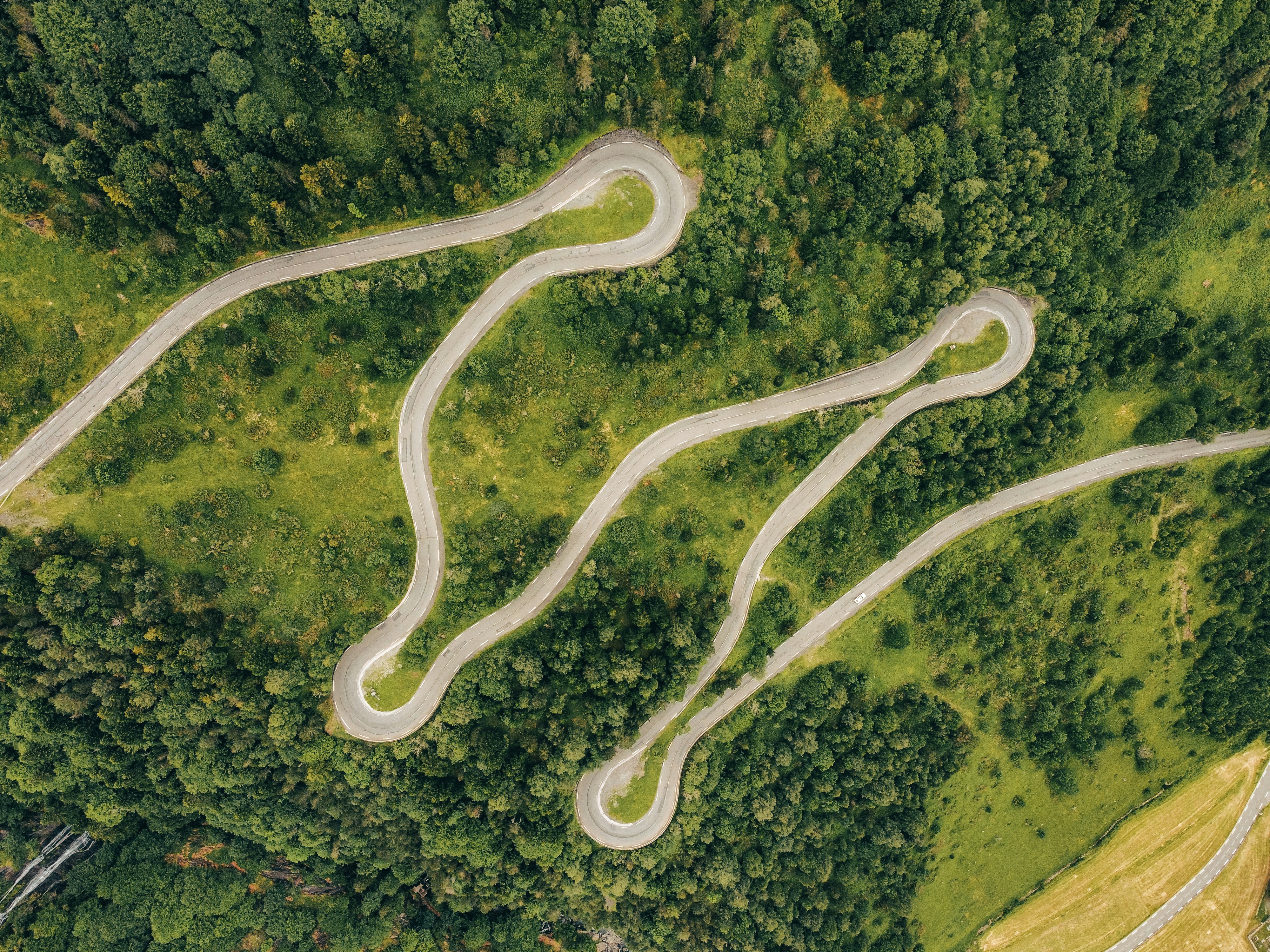 a winding road through a forest