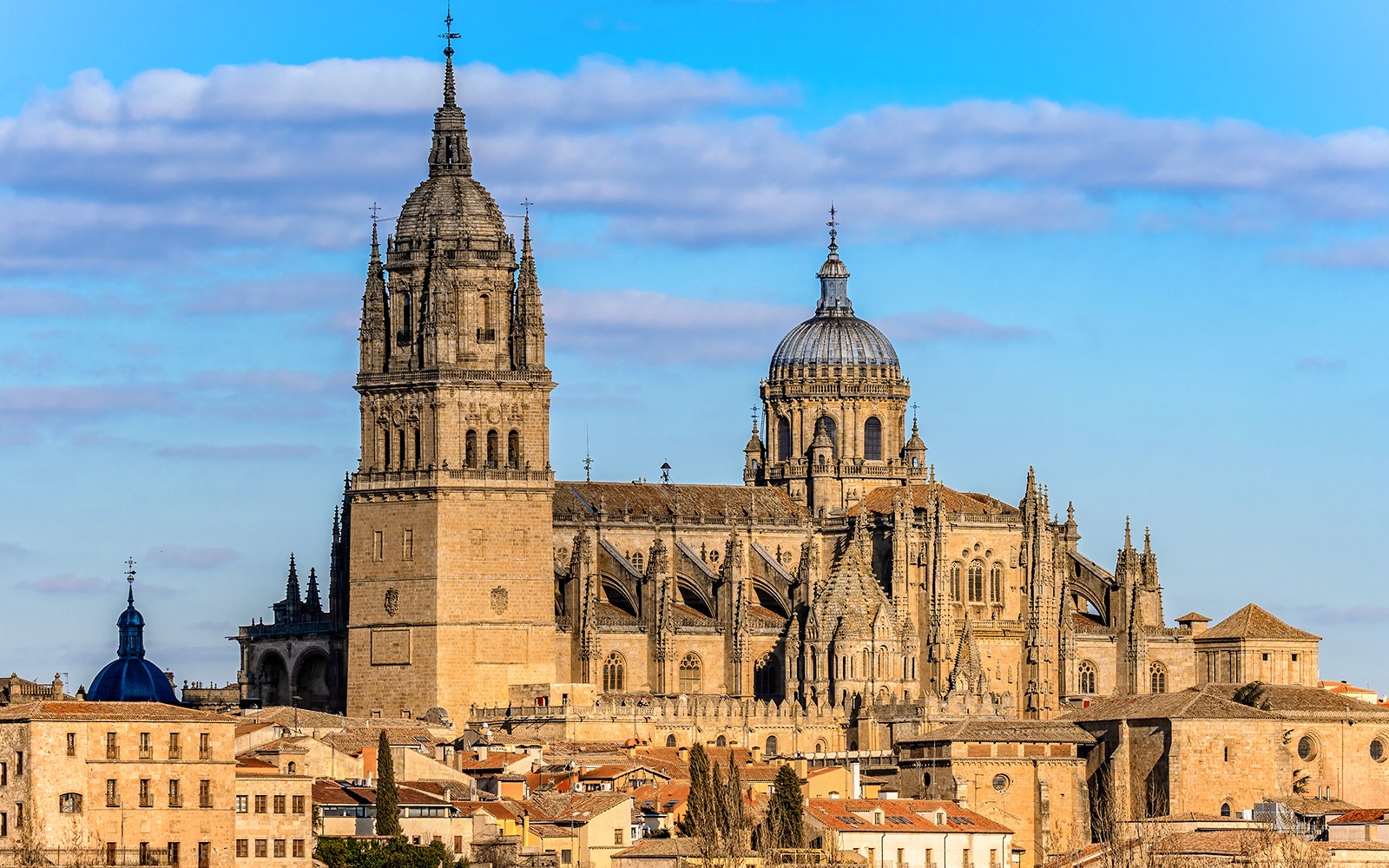 화창한 푸른 하늘 아래 정교한 고딕 양식이 돋보이는 살라망카 대성당.