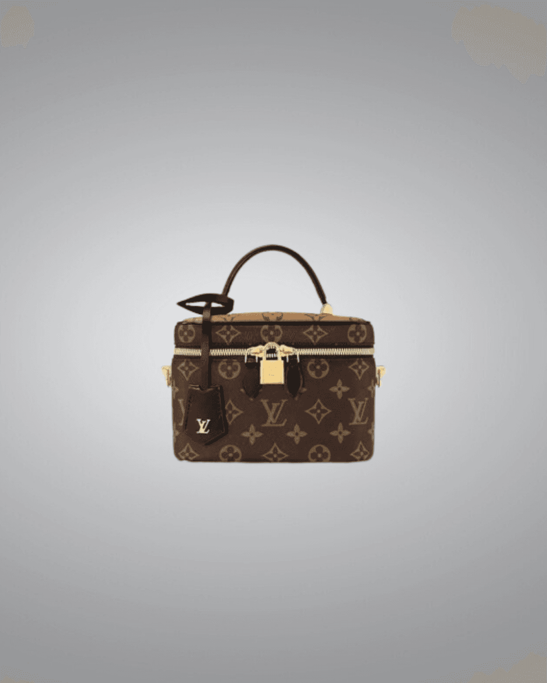 LV Vanity PM Bag