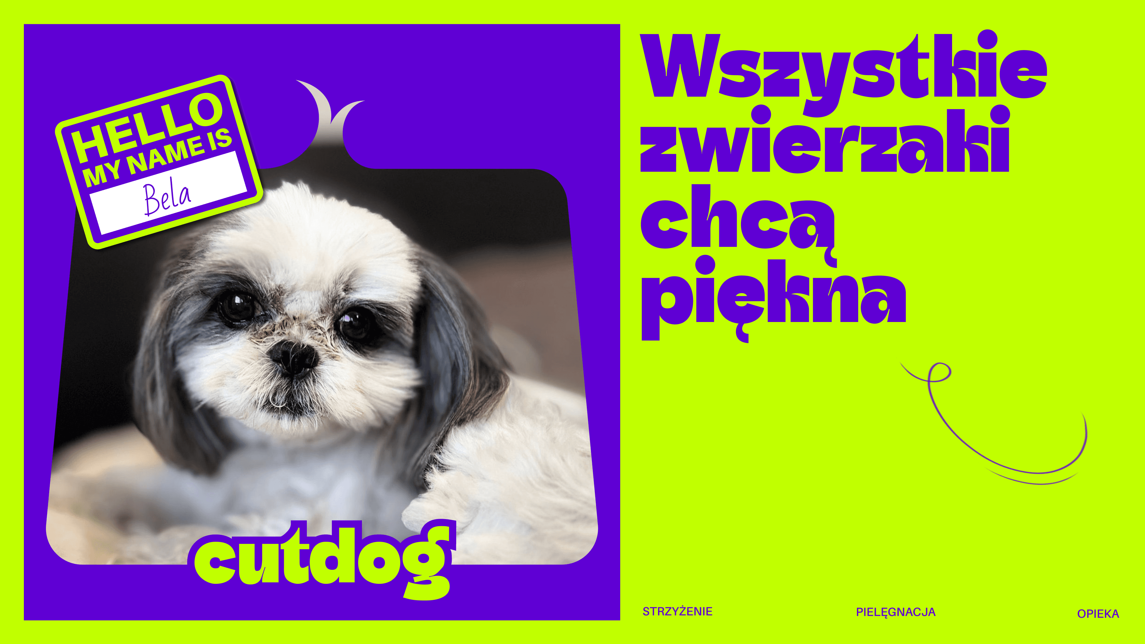 Dog and text