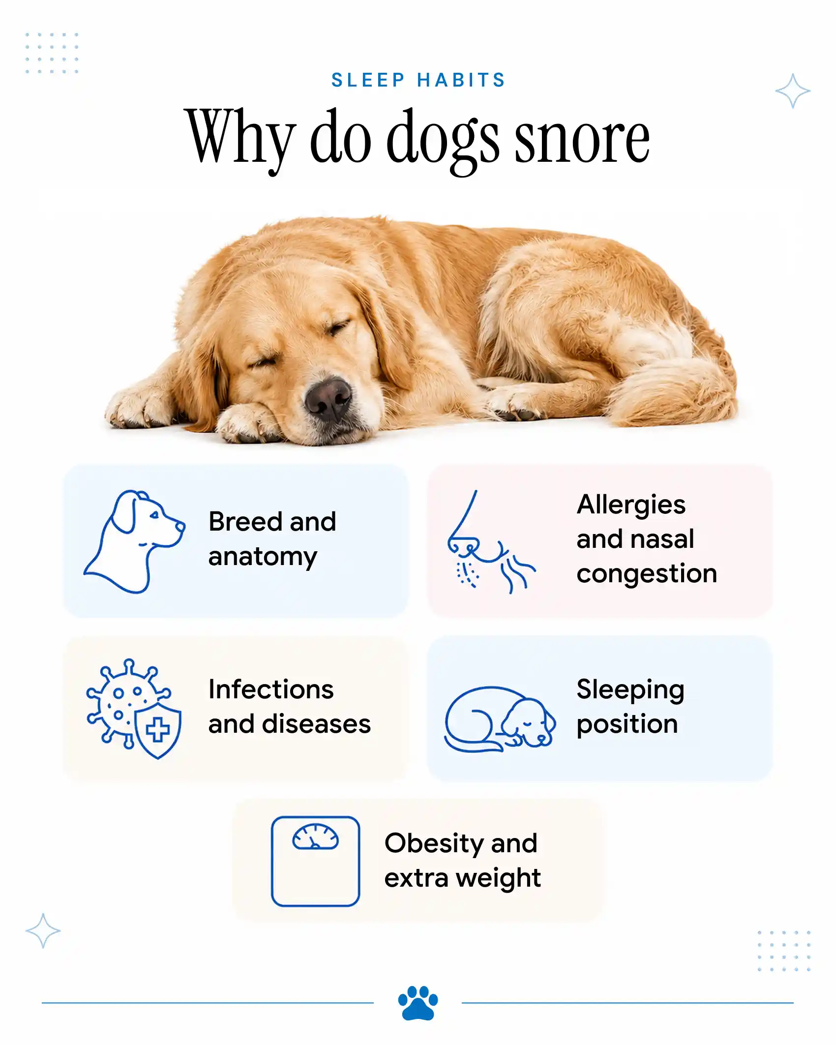 An infographic showing the many reasons why dogs snore.