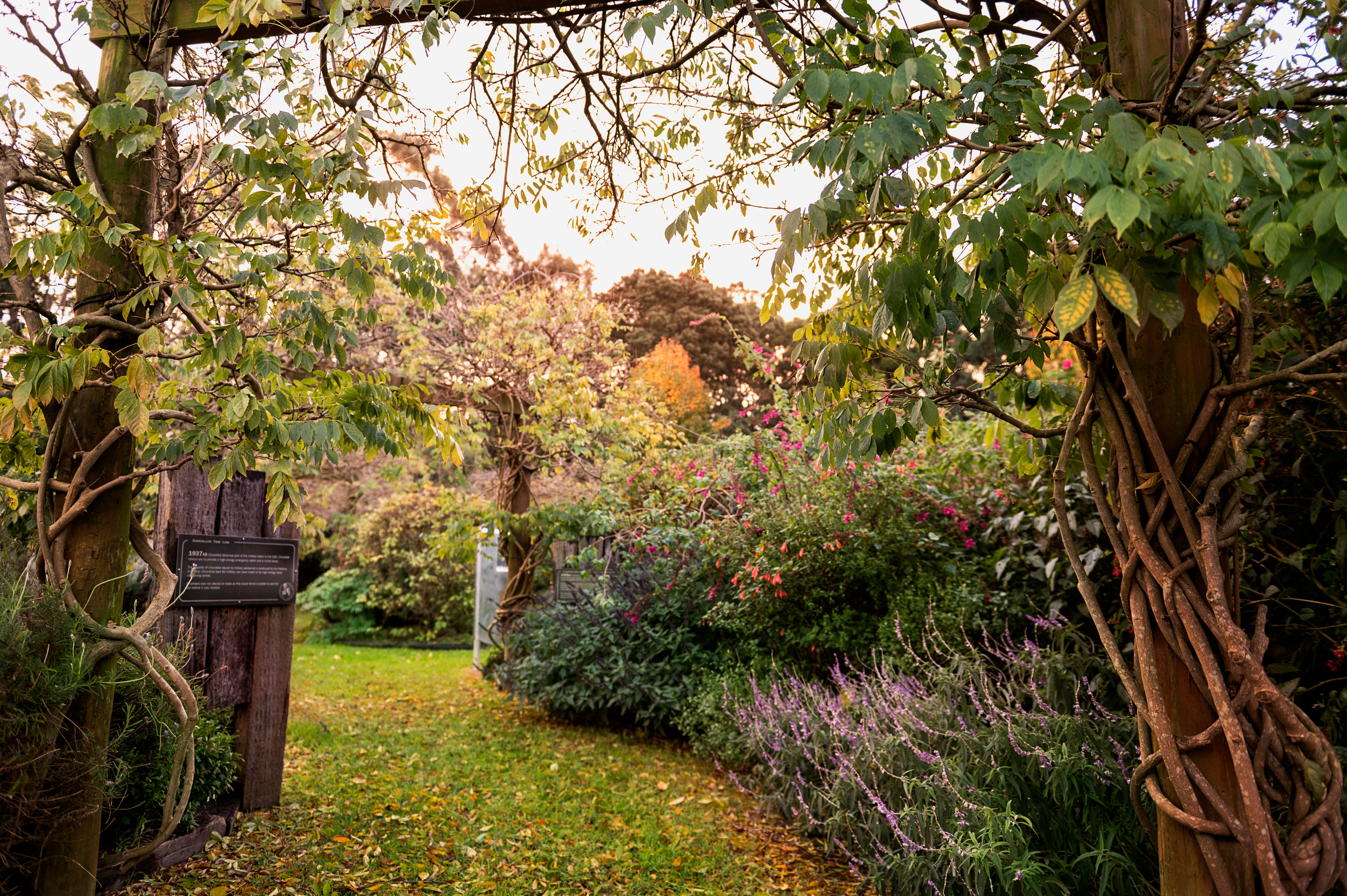 High-end branding photography set in garden location at Denmark Chocolate Company