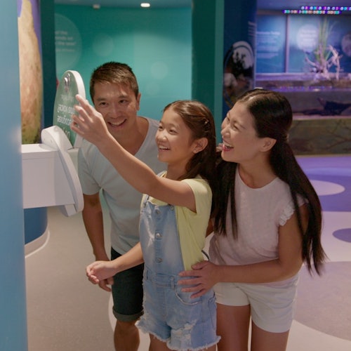 Учитесь и открывайте новое в своем темпе с бесплатной многоязычной системой гида, доступной для вас.