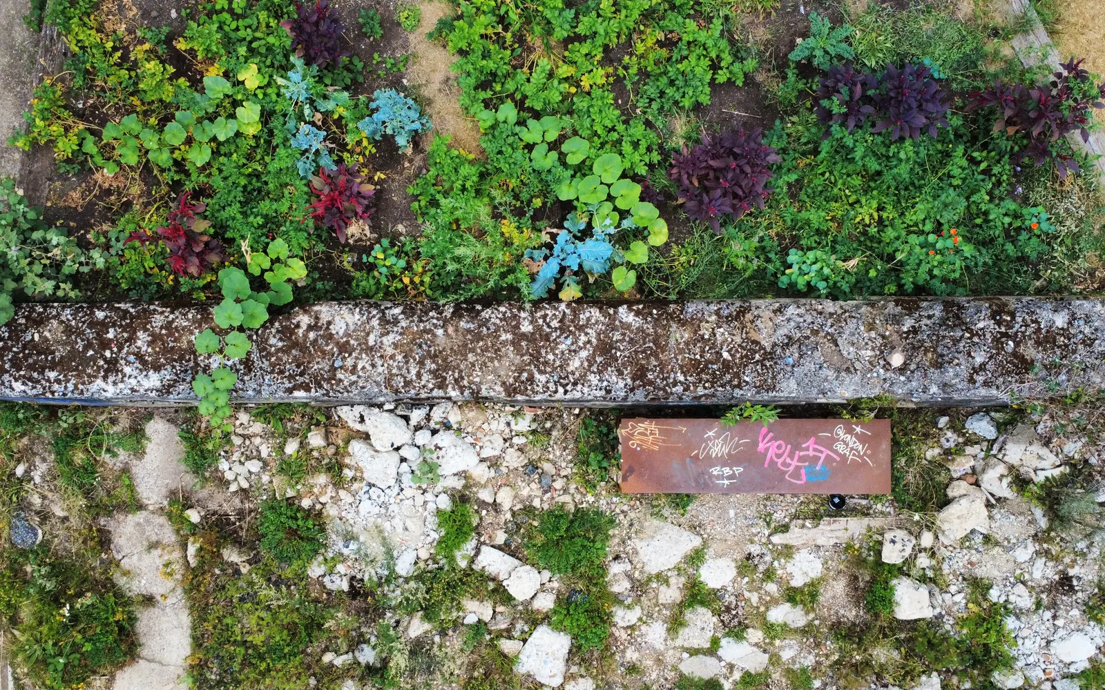 Aerial view of a lush garden with various green plants and colorful flowers along a stone pathway.