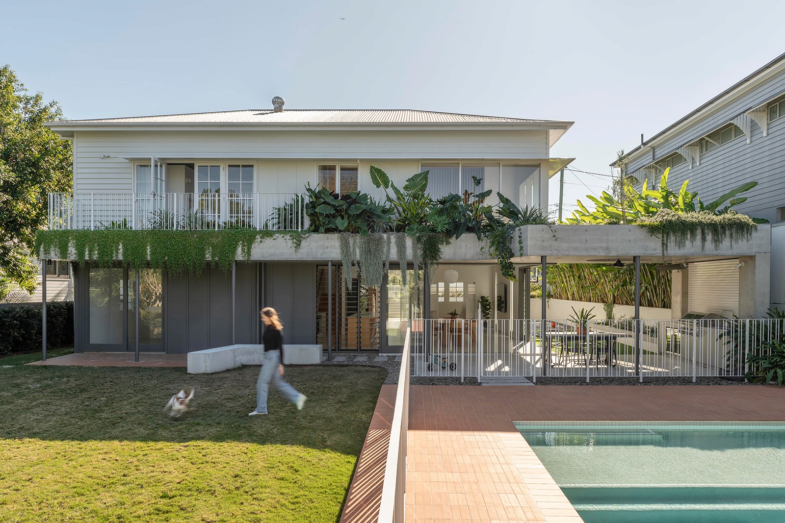 Rear elevation of the Queenslander with concrete pavilion, pool terrace, and garden connection.