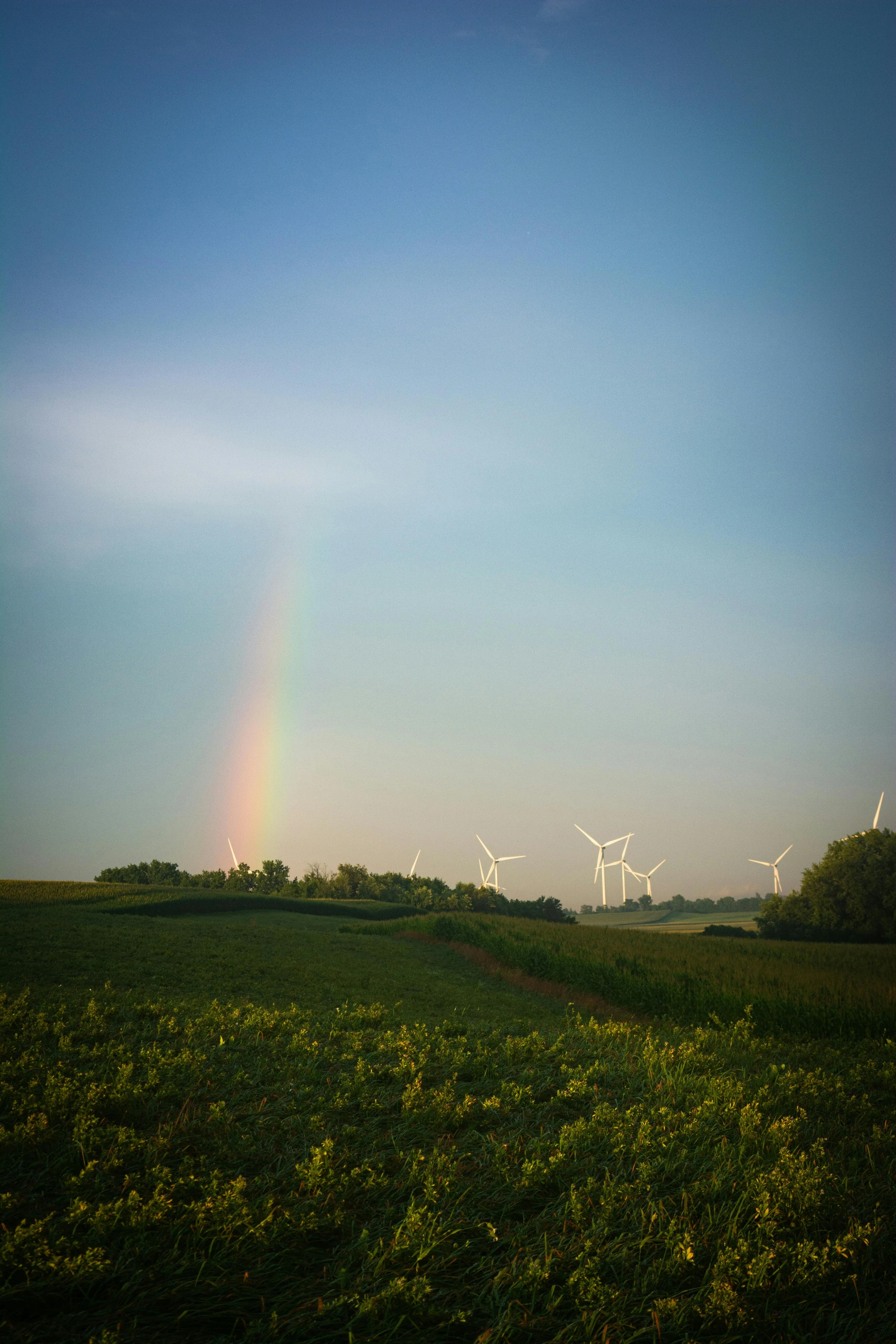 Green sky
