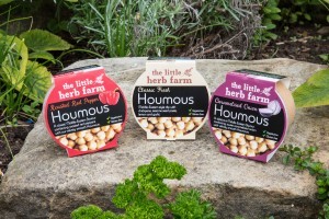 A close-up image of our Houmous, sat on a stone in the garden.