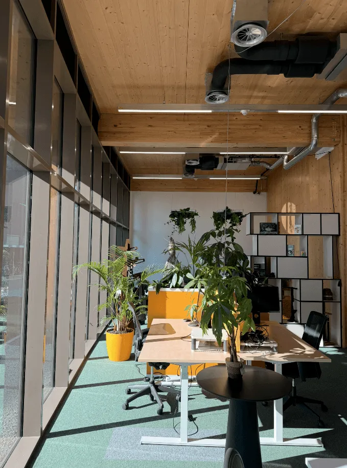 Modern kantoor met werkplekken, planten en een houten plafond