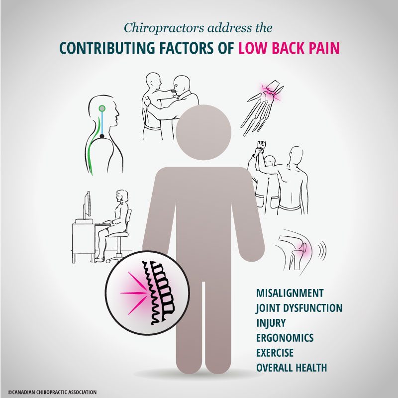Low-back-pain-ajax-chiropractor