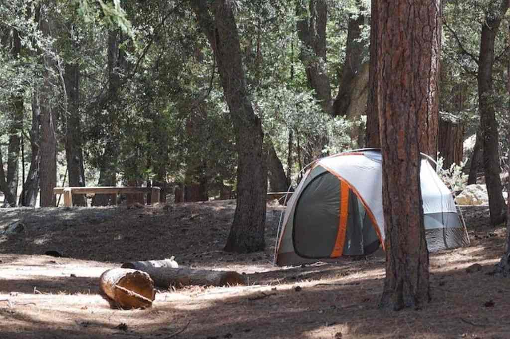Tent in campsite, Yosemite