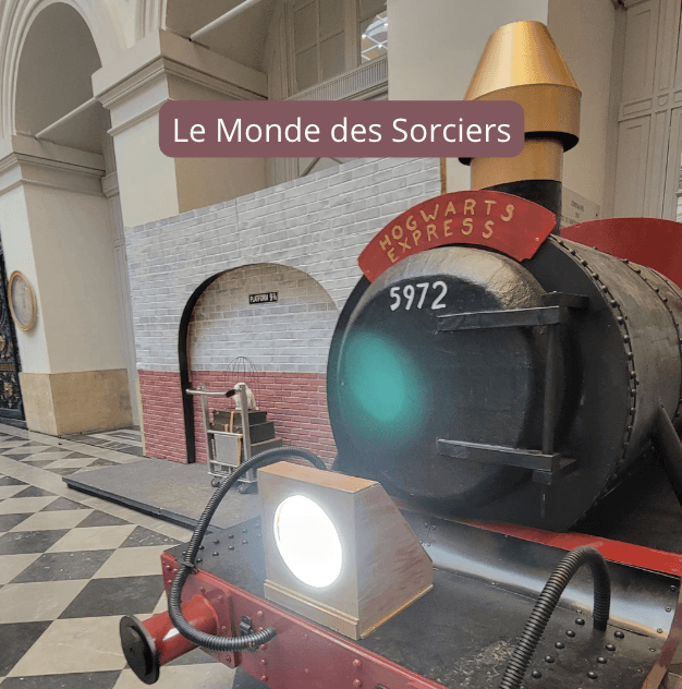 Décor animation et scénographie immersive thème Harry Potter le sorcier pour soirée d’entreprise à Bordeaux