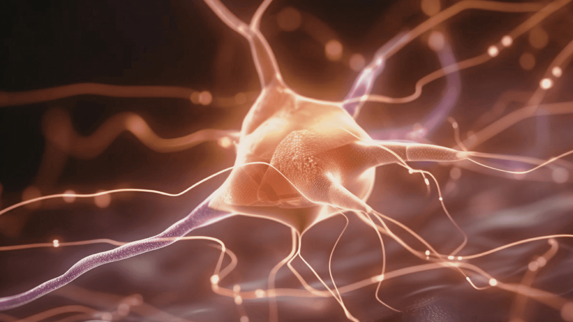 A winding road cuts through rocky terrain, surrounded by patches of green grass and illuminated by sunlight.