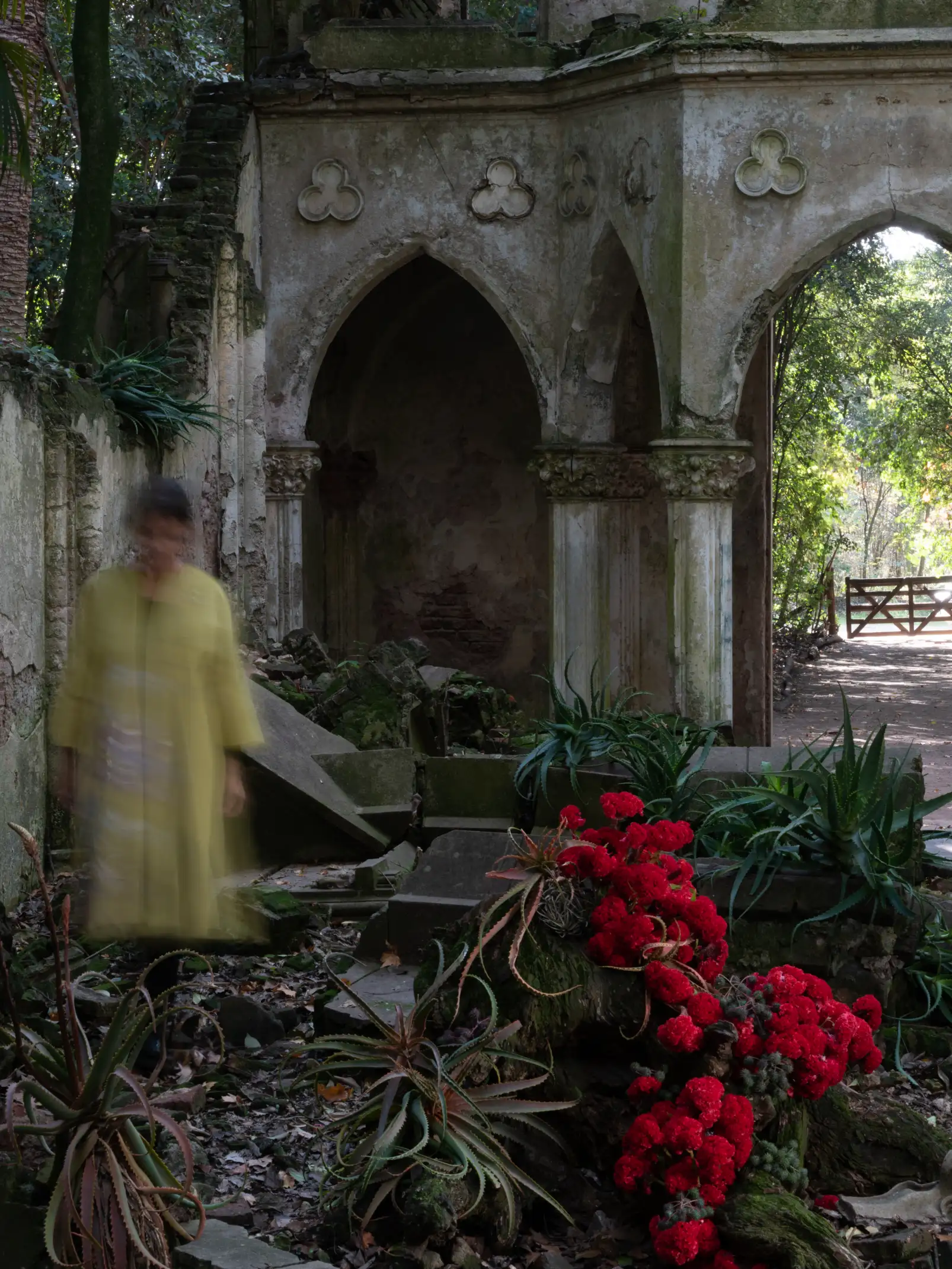 Escena artística con figura difusa entre ruinas góticas y flores rojas para propuesta visual botánica, transmitiendo movimiento y melancolía.