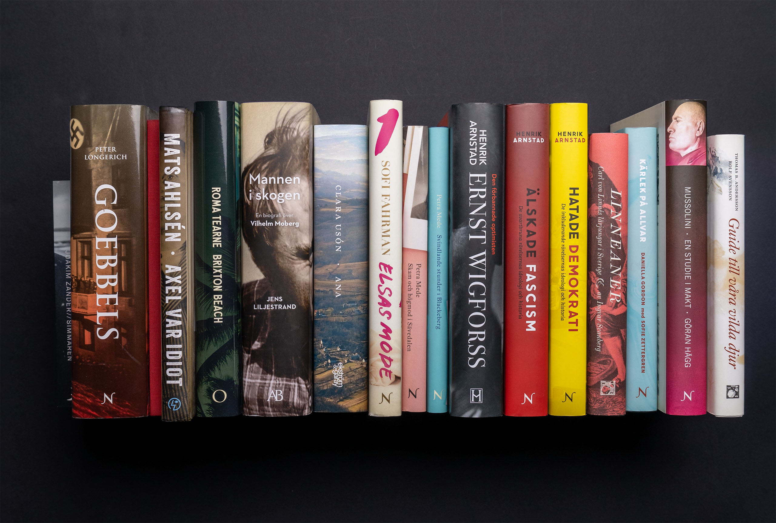 Bokomslag Mannen i skogen