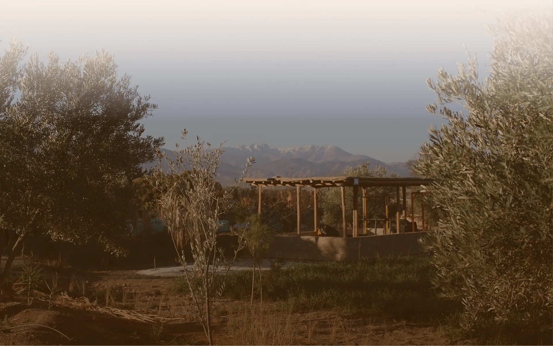 Bellevoire Reception