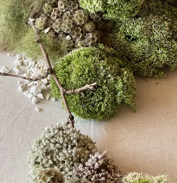 Detalle cercano de musgos y ramas con textura vaporosa en tonos verdes y beige sobre mesa elegante.