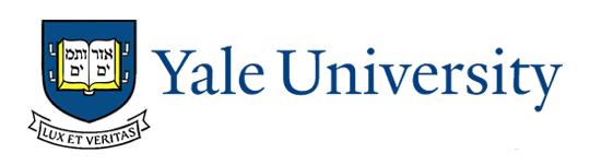 Logo 7