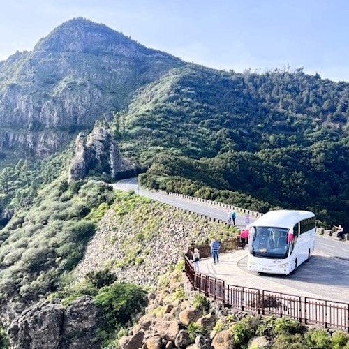 テネリフェ発ラ・ゴメラ: ガイド付き日帰りツアー + ボートライド + サン・セバスティアン・デ・ラ・ゴメラでのランチチケット