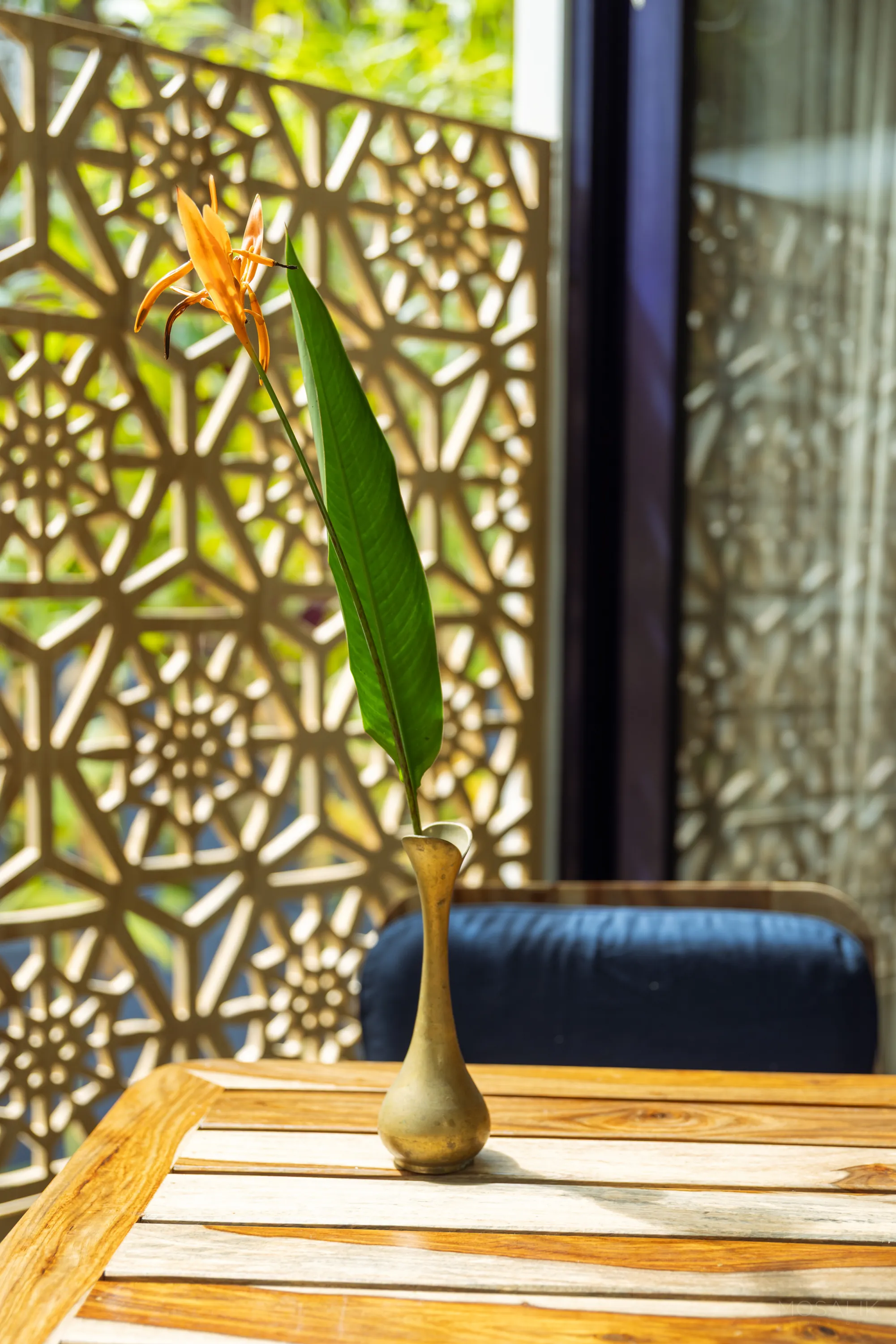Heliconia beside the carved jaali screen at Jaali Blue